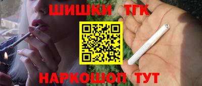 СК Бийск