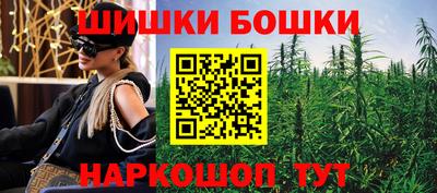 СК Бийск