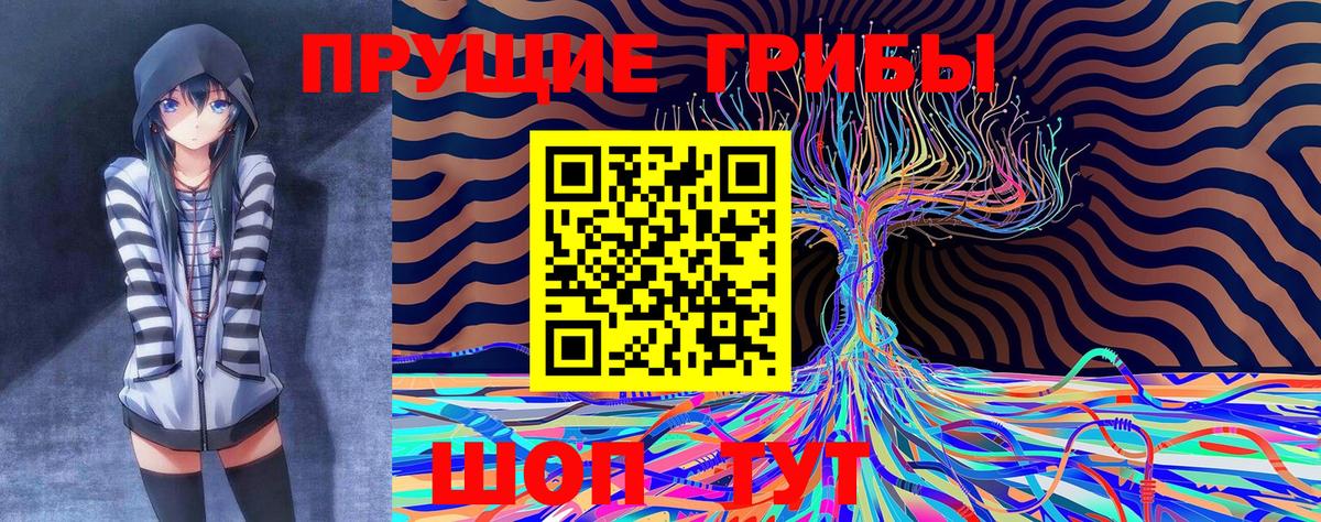 Галлюциногенные грибы MAGIC MUSHROOMS  сколько стоит  Вход с VPN  Ипатово  Галлюциногенные грибы Psilocybine cubensis 